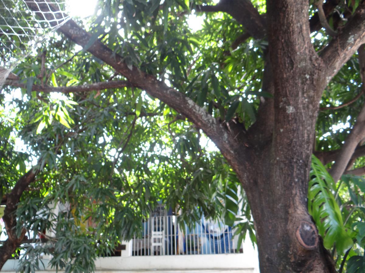 אולינדה Casa De Temporada Das Mangueiras מראה חיצוני תמונה